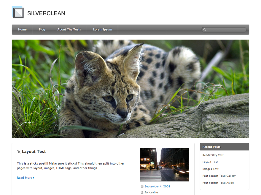 Silverclean Lite theme screenshot