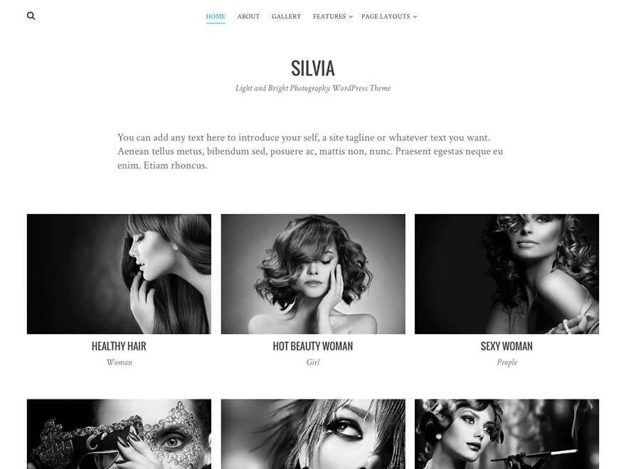 Silvia theme screenshot