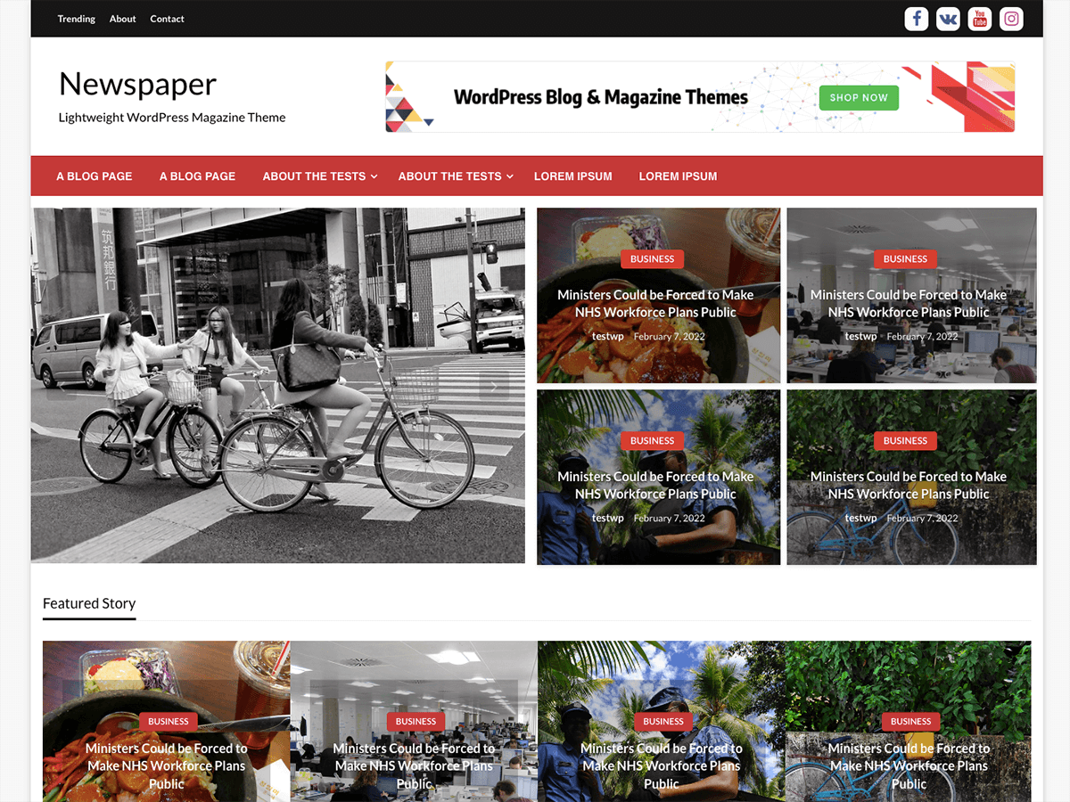 Simple Newspaper theme screenshot