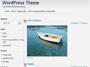 SimpleGray theme screenshot