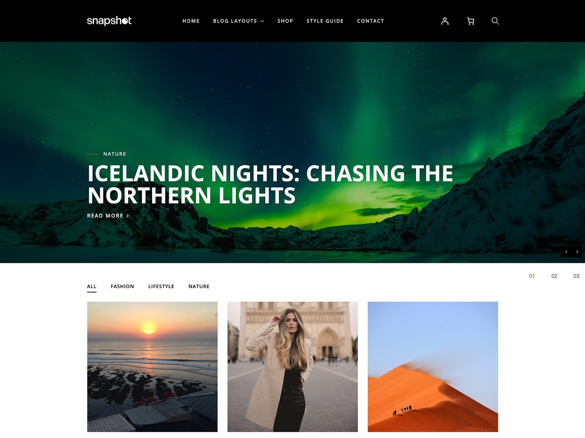 SiteOrigin Snapshot theme screenshot