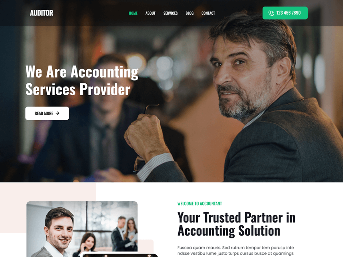 SKT Auditor theme screenshot