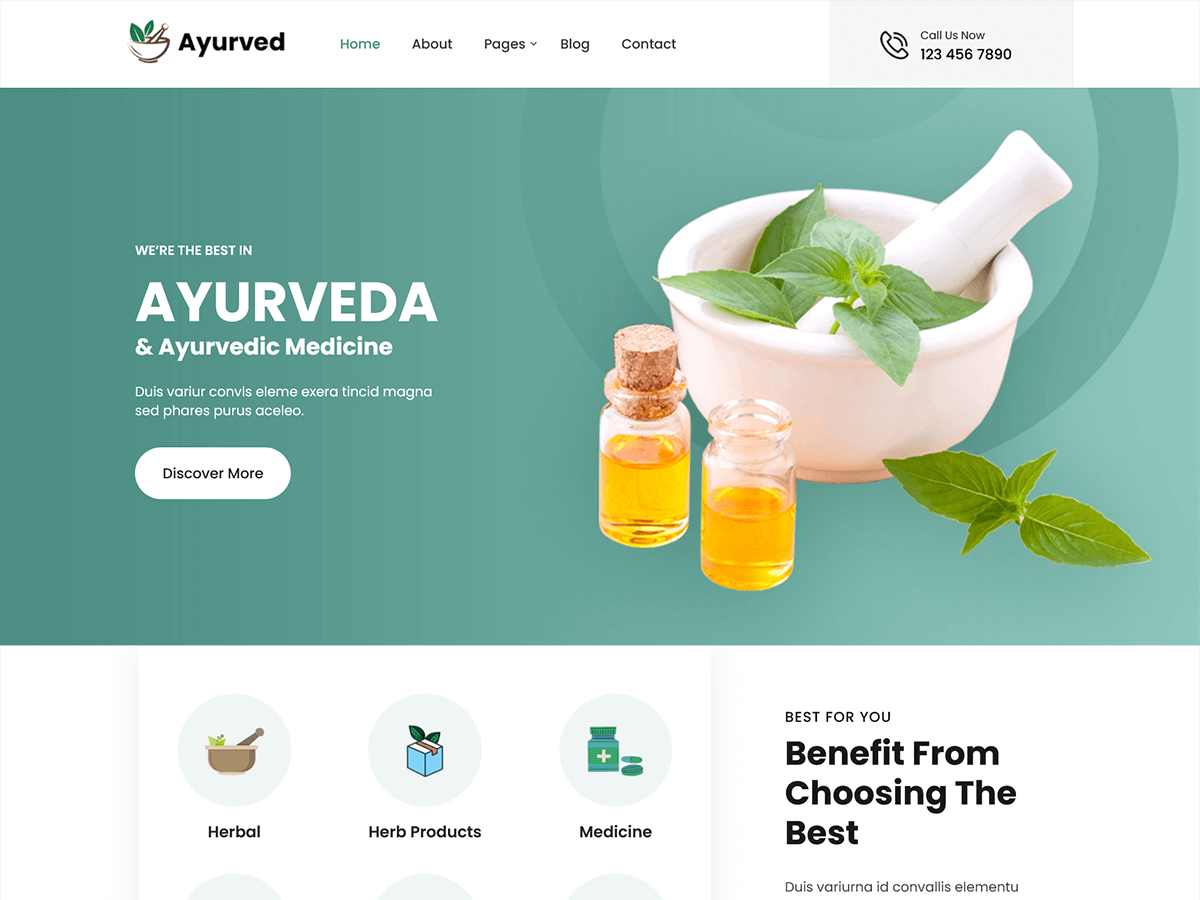 SKT Ayurveda theme screenshot
