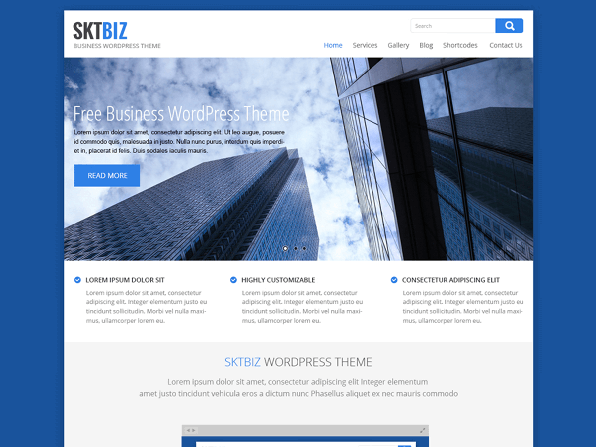 SKT Biz theme screenshot