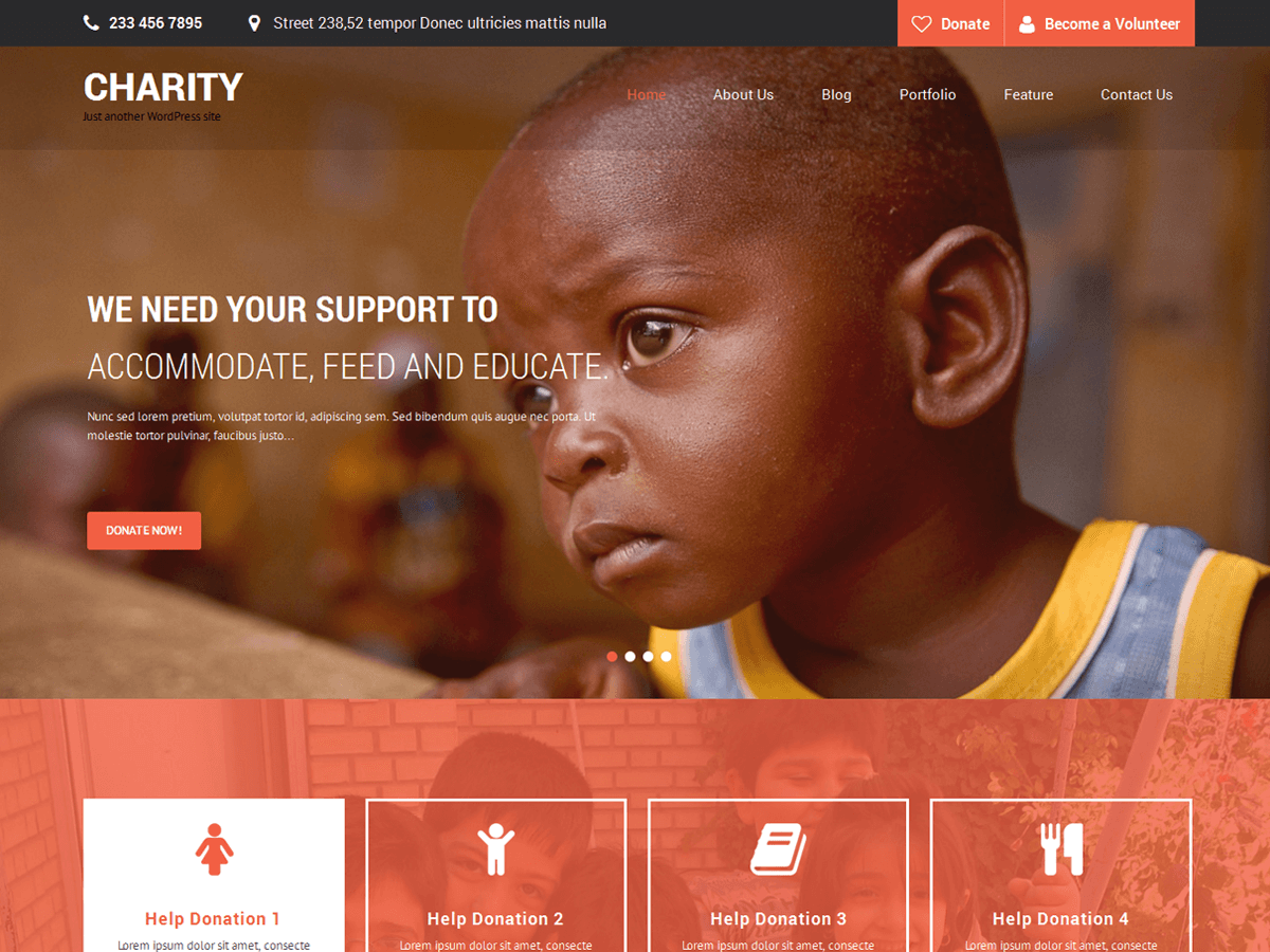 SKT Charity theme screenshot