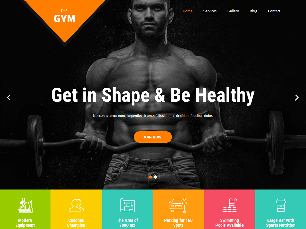 SKT Gym theme screenshot