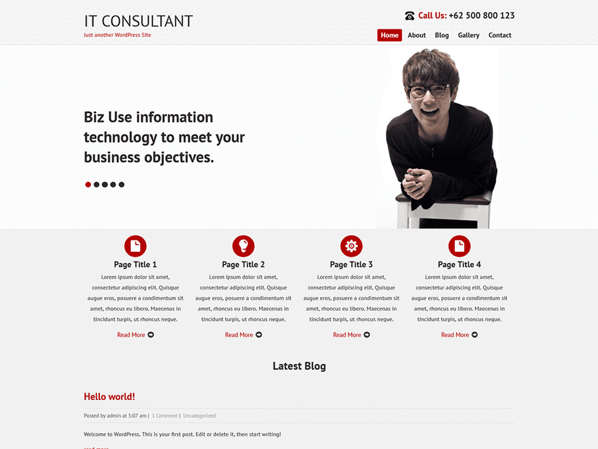 SKT IT Consultant theme screenshot