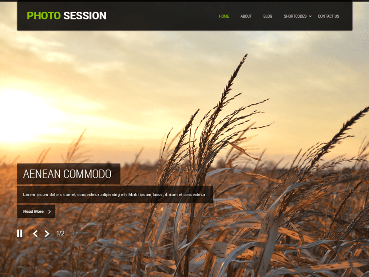 SKT Photo Session theme screenshot