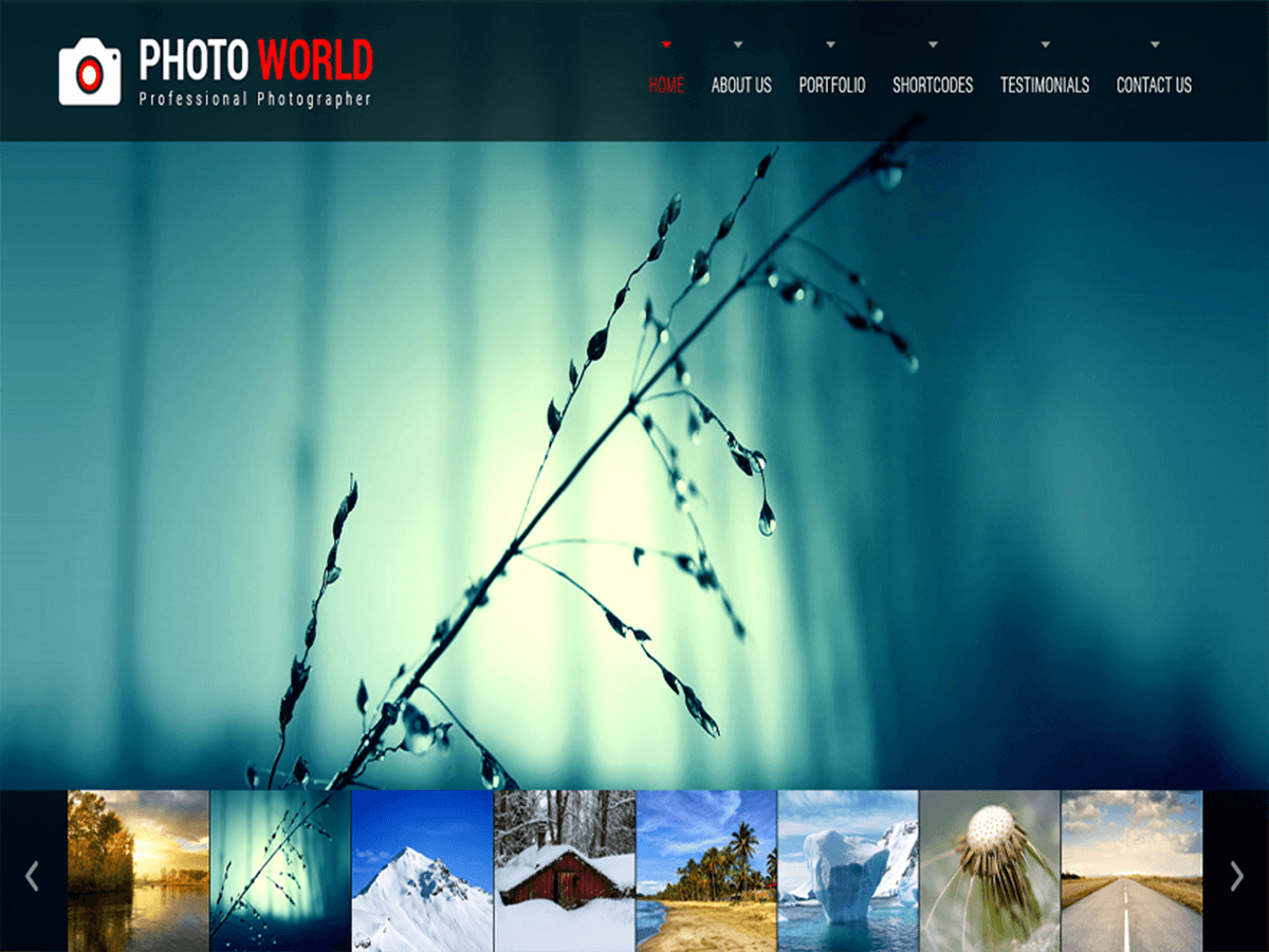 SKT Photo World theme screenshot