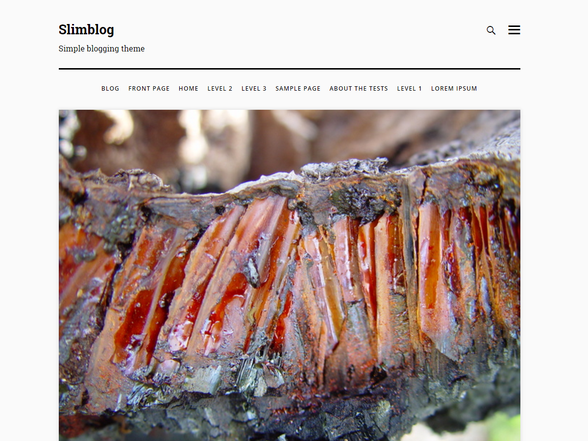 slimblog theme screenshot