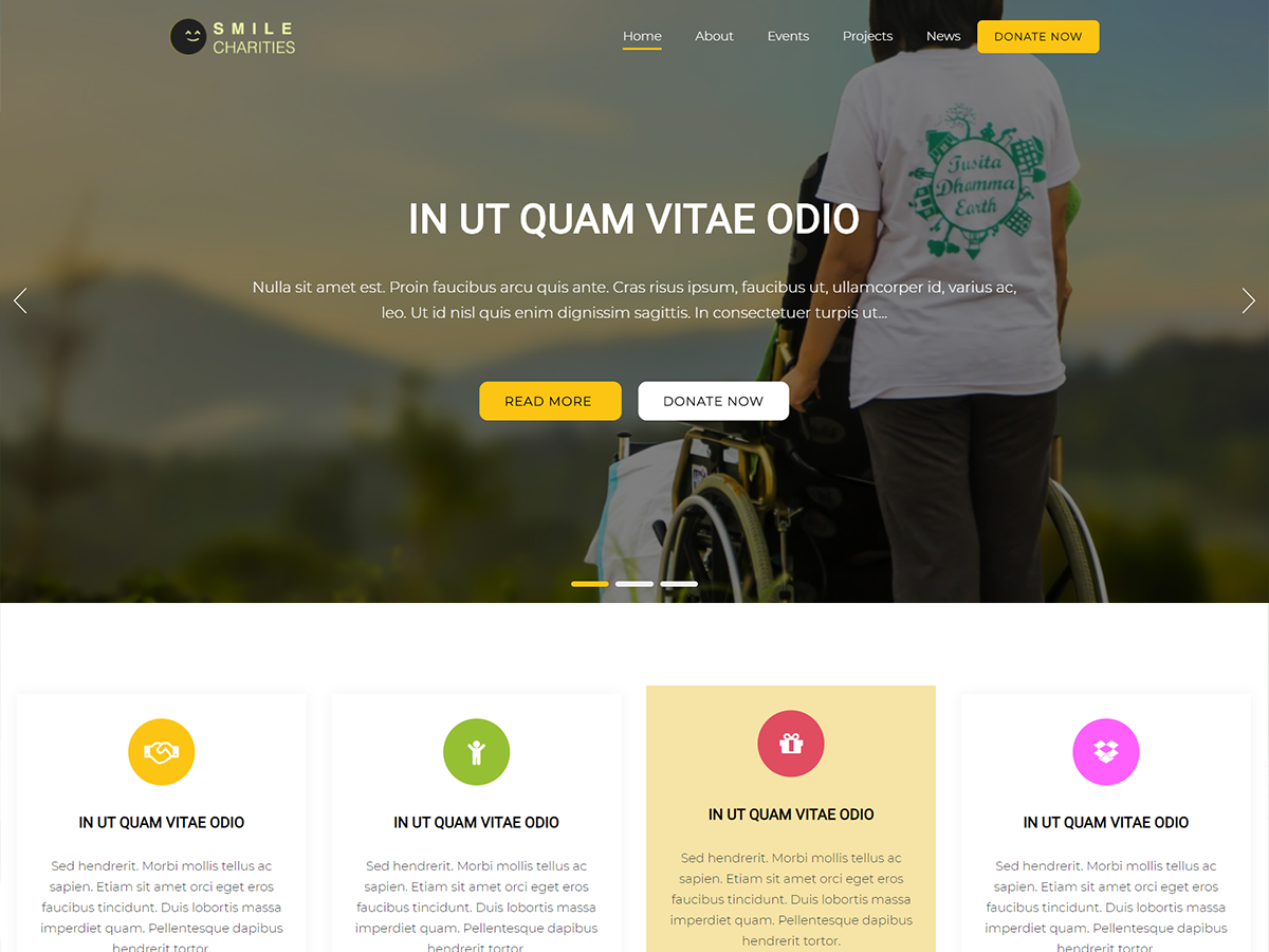 Smile Charities theme screenshot