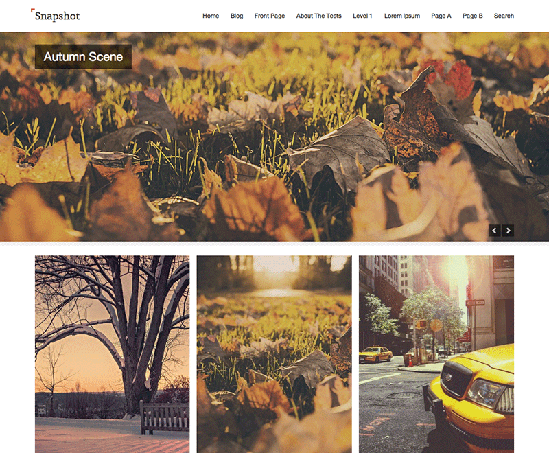 Snapshot theme screenshot