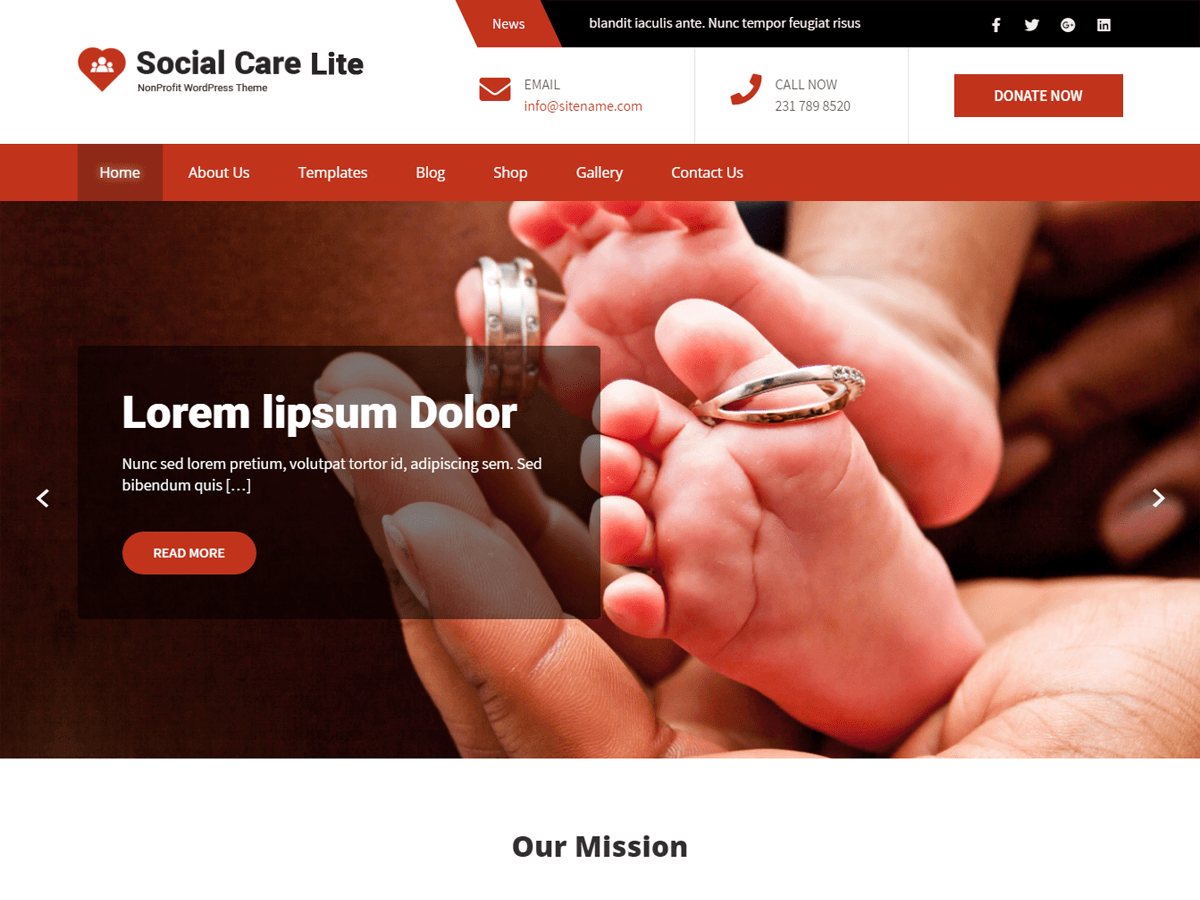 Social Care Lite theme screenshot