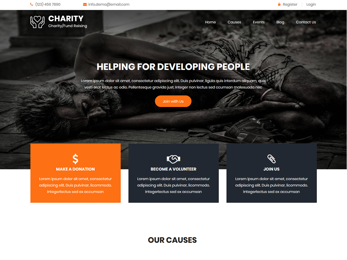 Social Charity theme screenshot