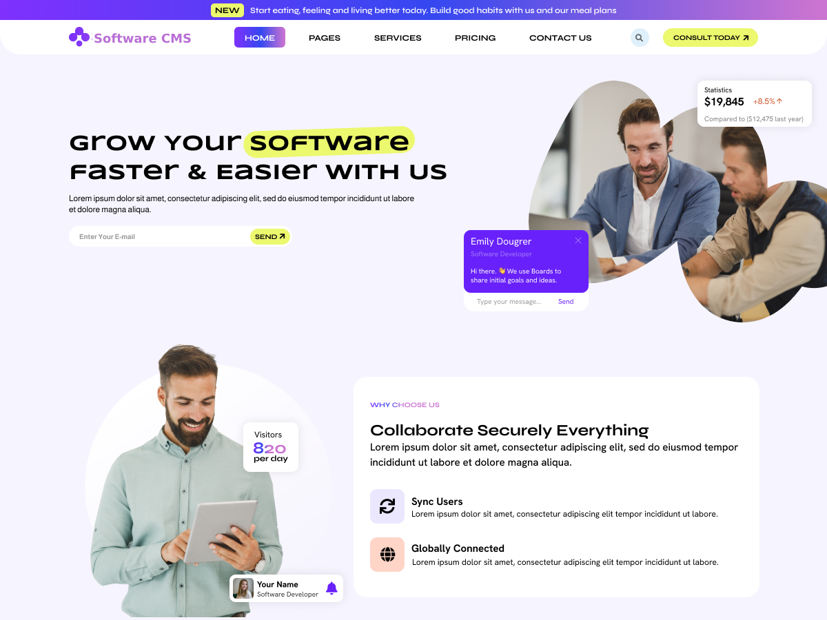 Software CMS theme screenshot