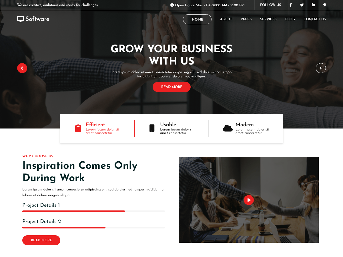 Software Company Elementor theme screenshot