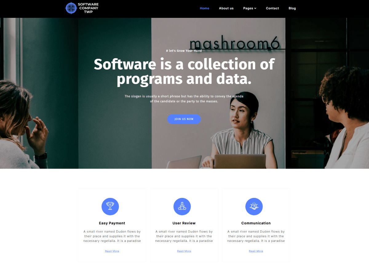 Software Company TWP theme screenshot