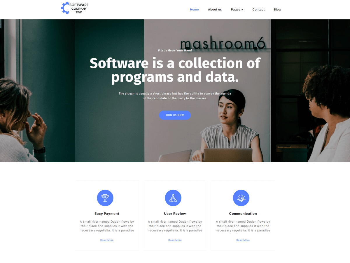 Software Elementor theme screenshot