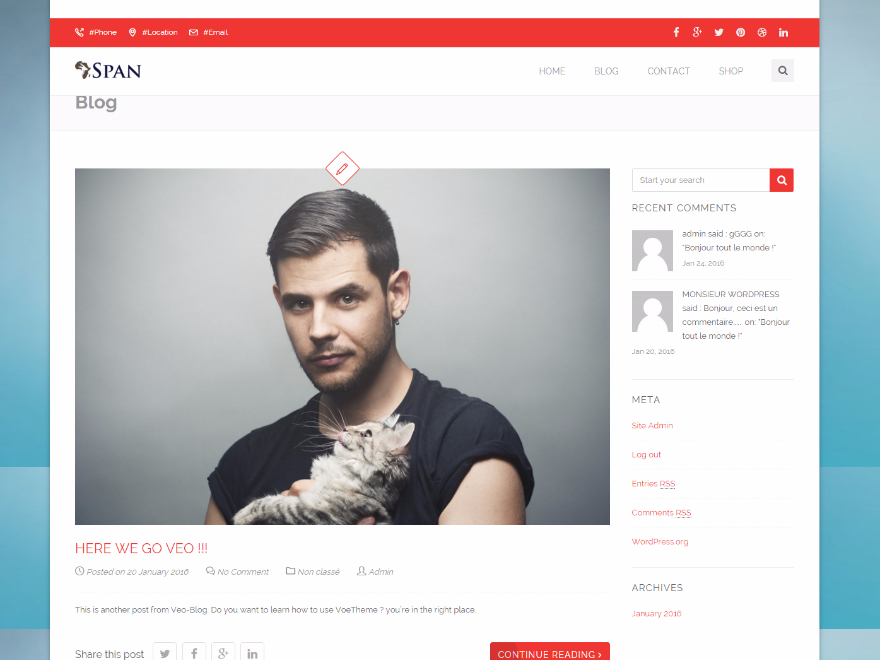 Span theme screenshot