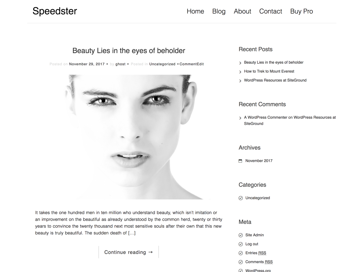 Speedster theme screenshot
