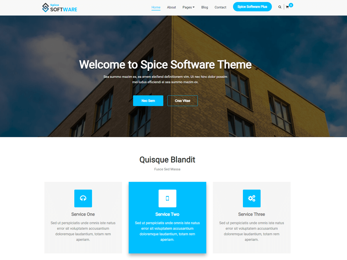 Spice Software theme screenshot