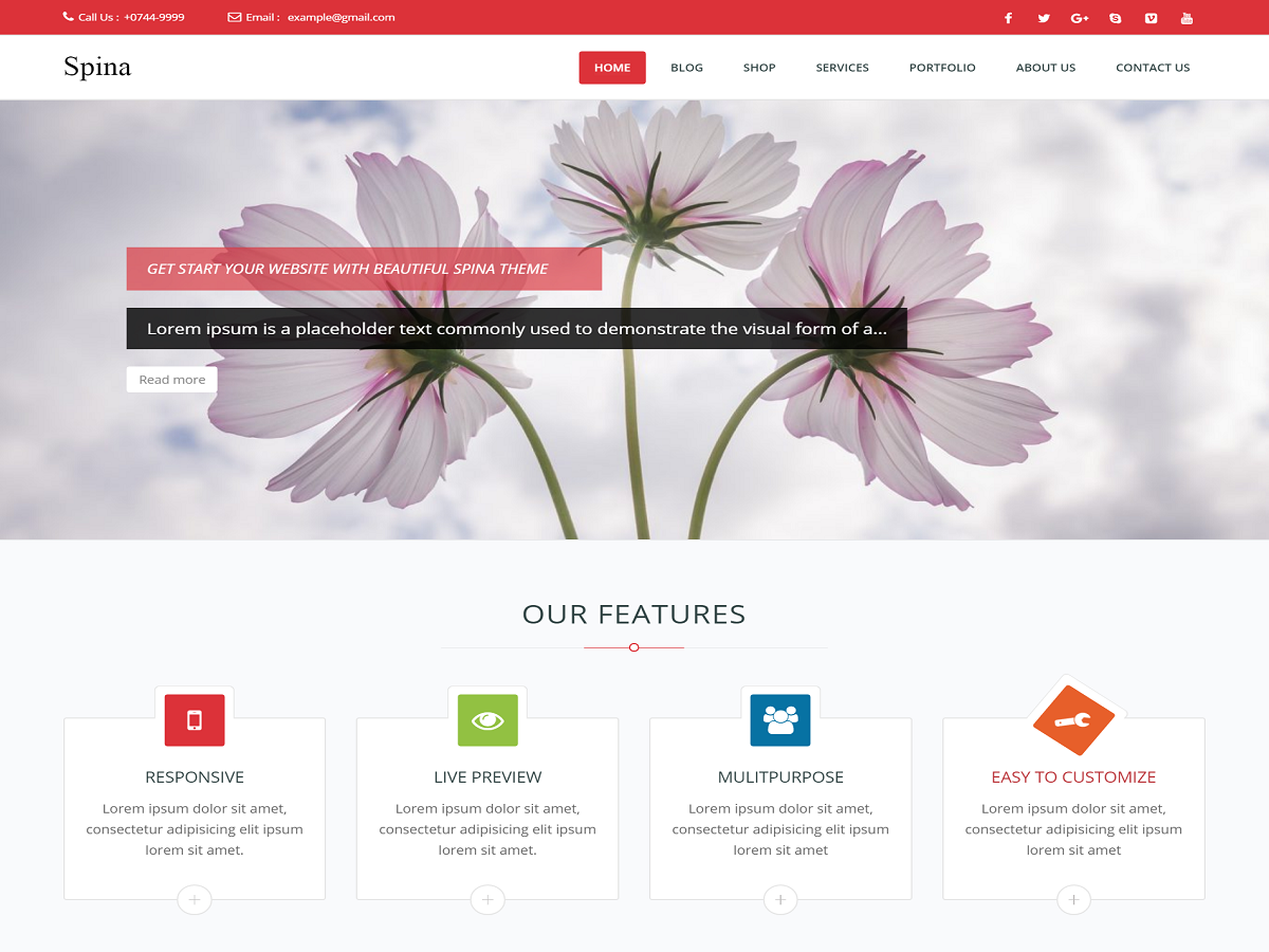 Spina theme screenshot