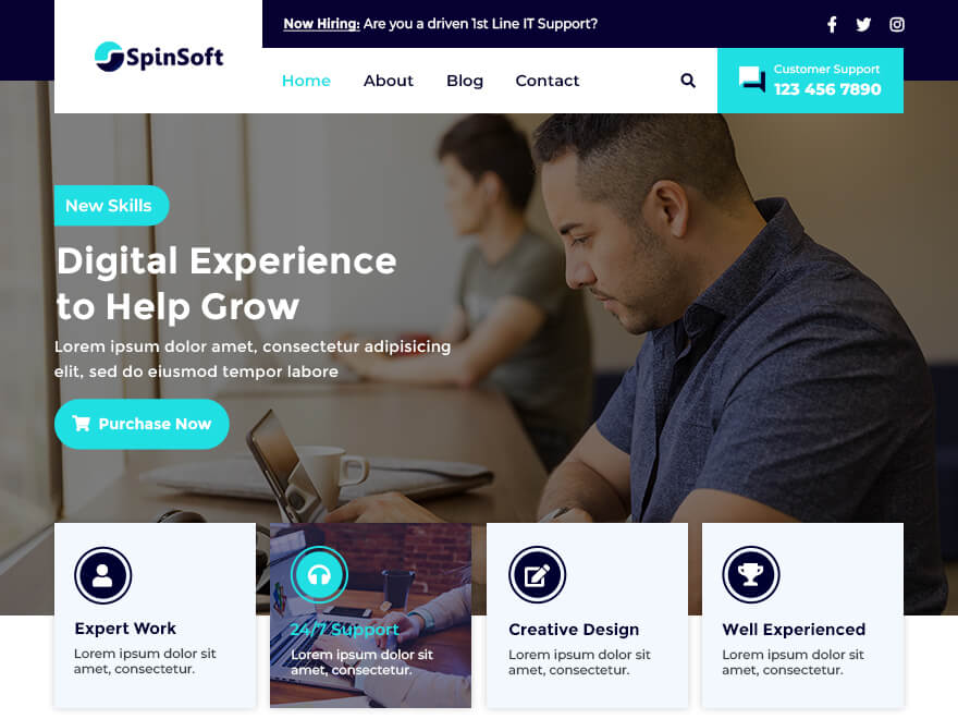 SpinSoft theme screenshot