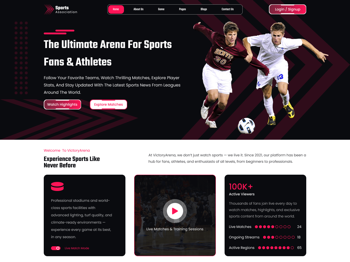 Sports Association theme screenshot