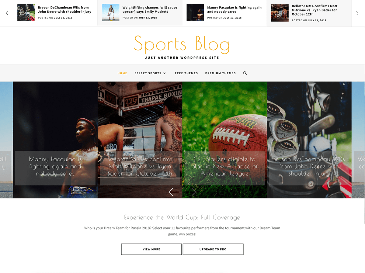 Sports Blog theme screenshot