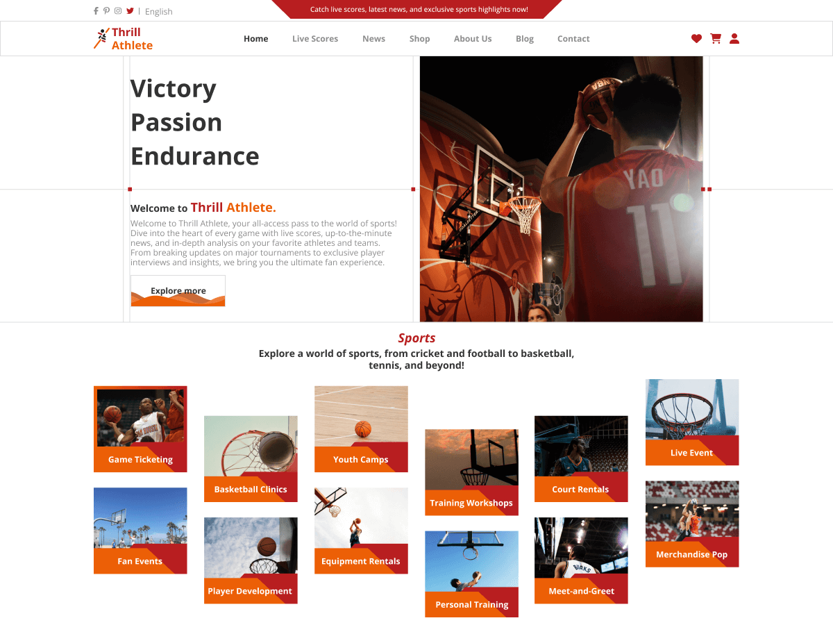 Sports Hub theme screenshot