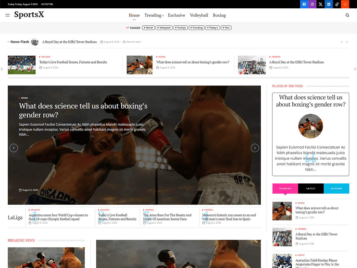 SportsX theme screenshot