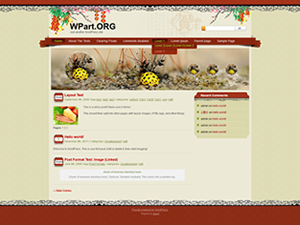 SpringFestival theme screenshot