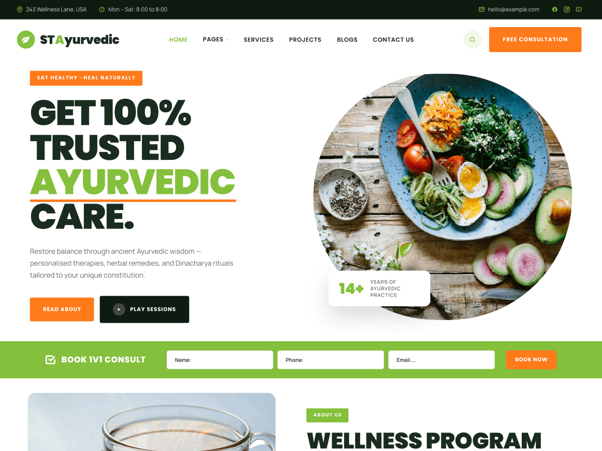 ST Ayurvedic theme screenshot