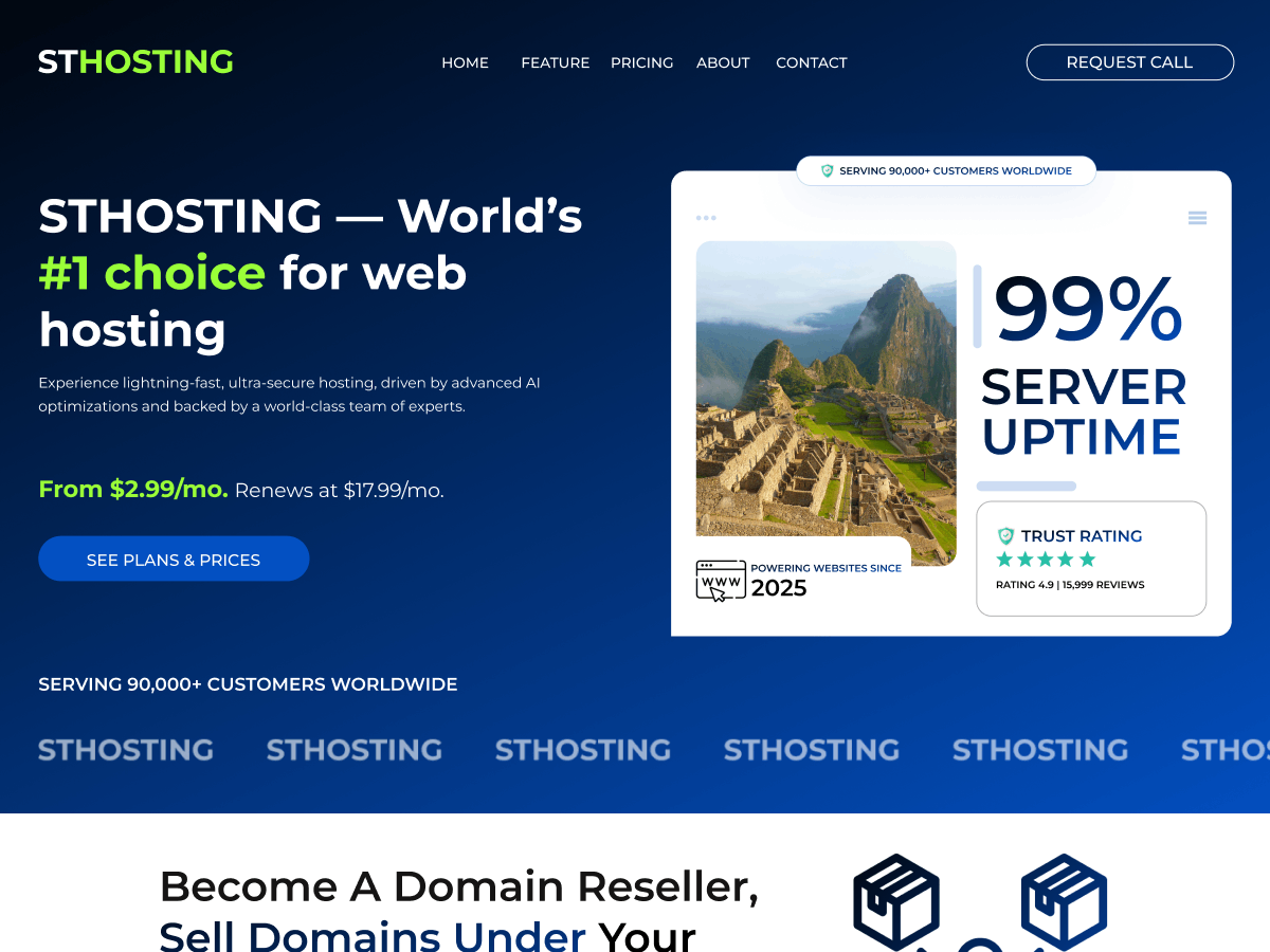 ST Hosting theme screenshot