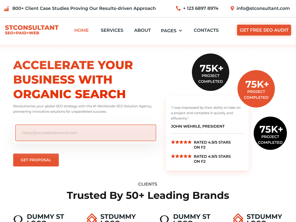ST SEO Consultant theme screenshot