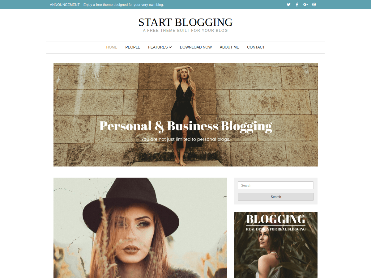 Start Blogging theme screenshot