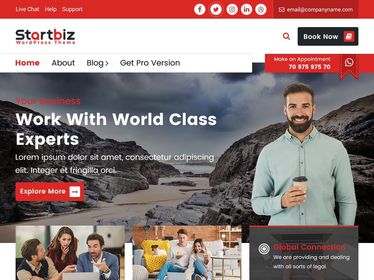 StartBiz theme screenshot