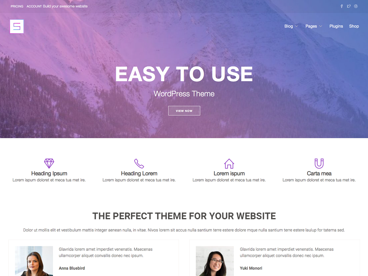 Starter WP theme screenshot