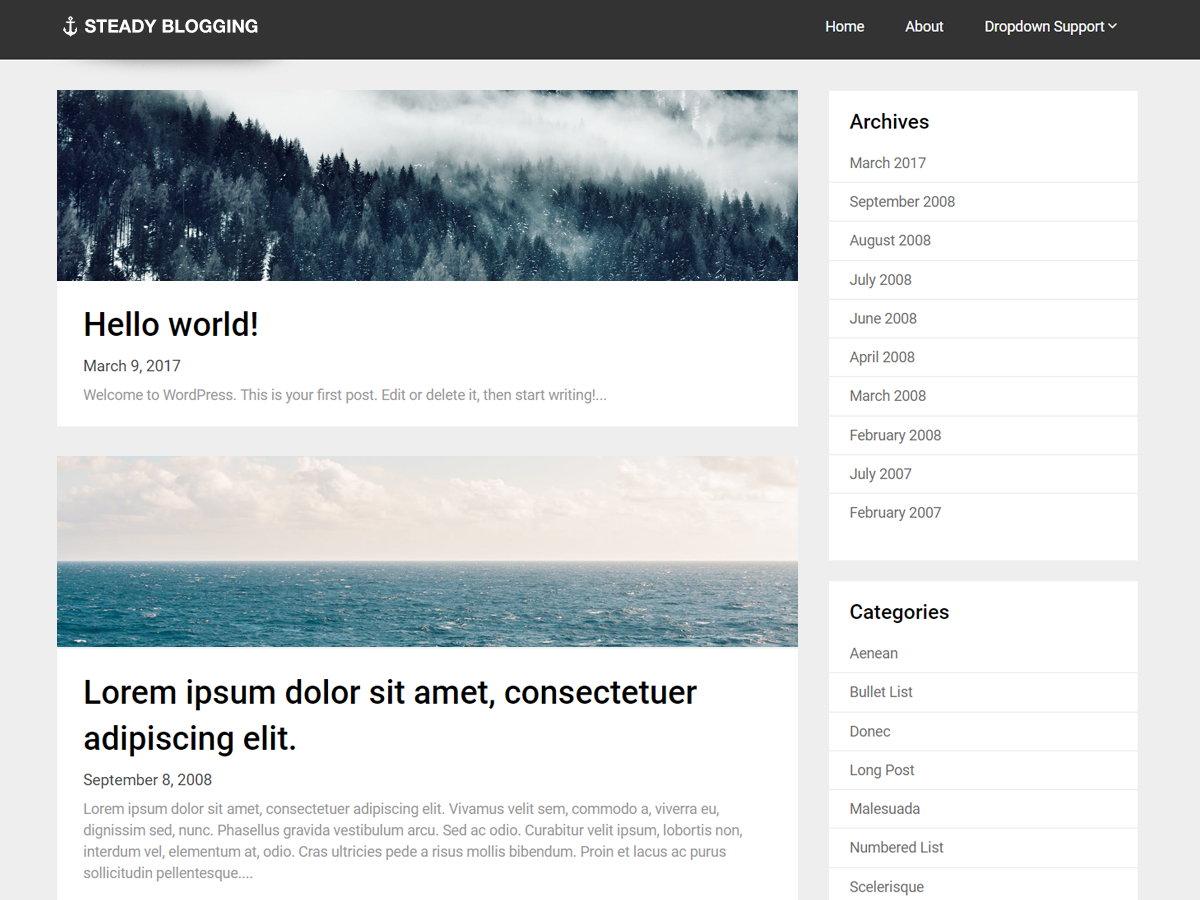 Steady Blogging theme screenshot