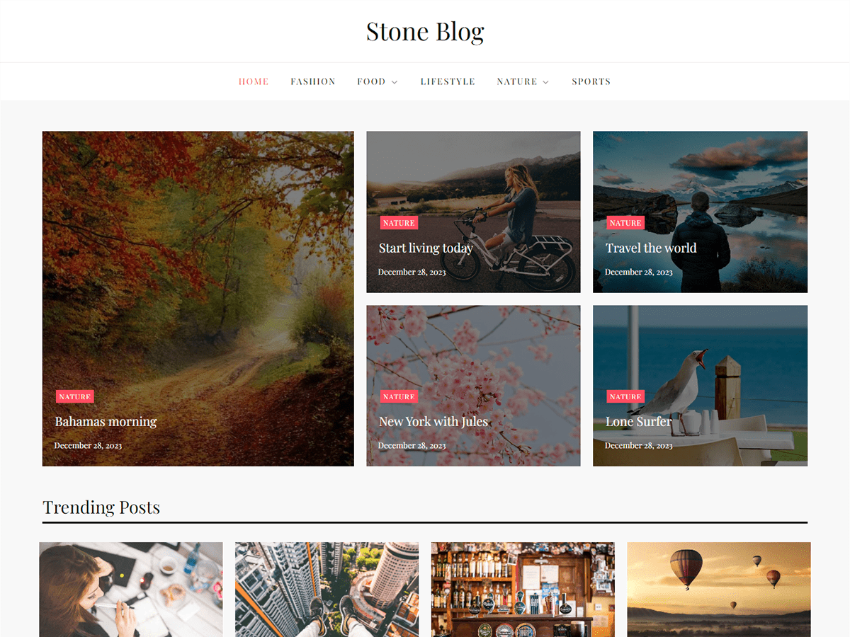 Stone Blog theme screenshot