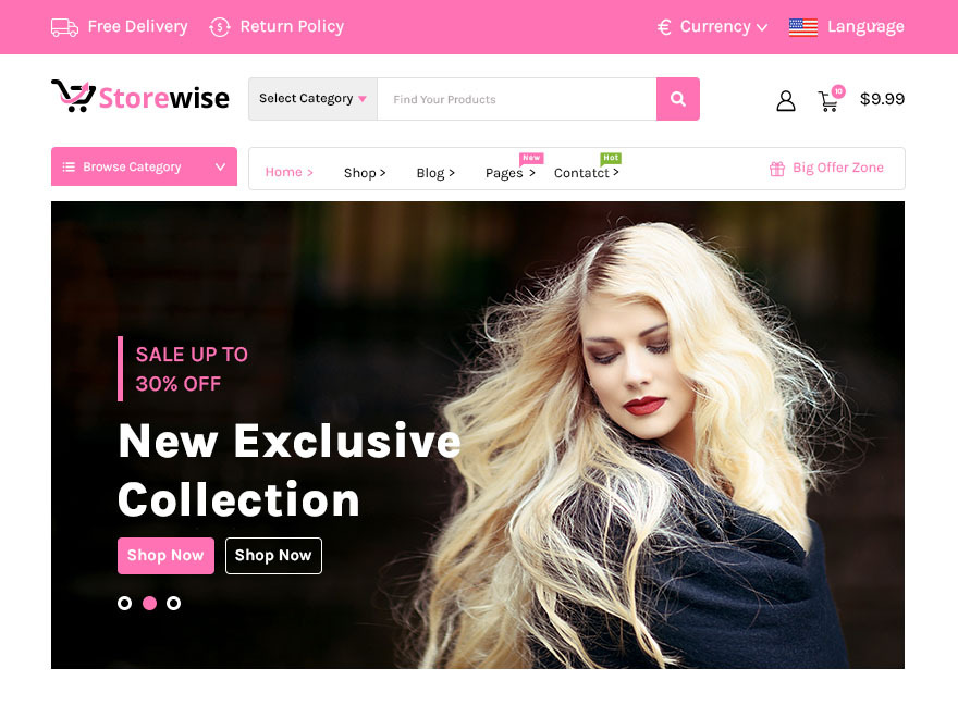 StoreWise theme screenshot