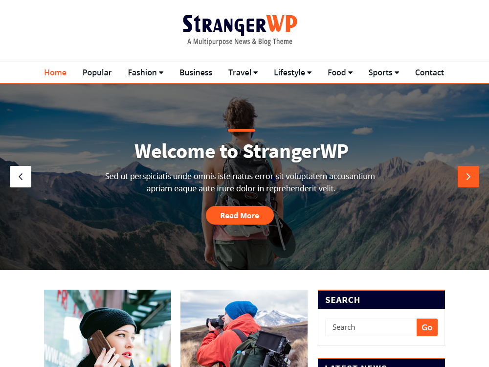 StrangerWP theme screenshot