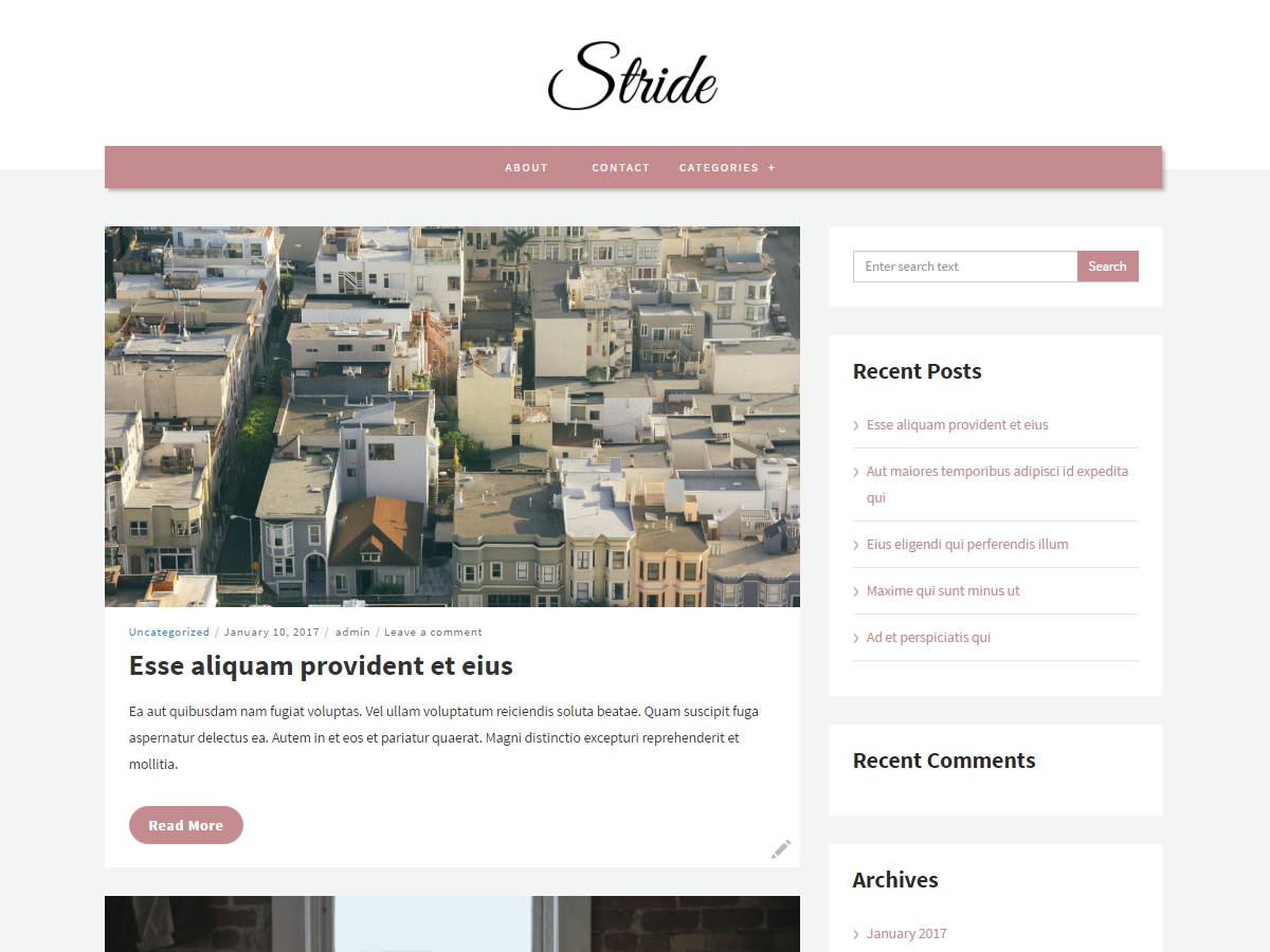 Stride lite theme screenshot