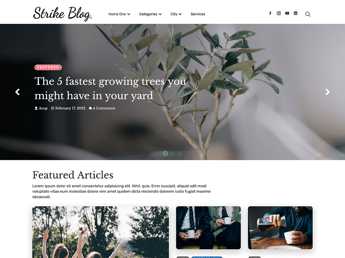 Strike Blog theme screenshot