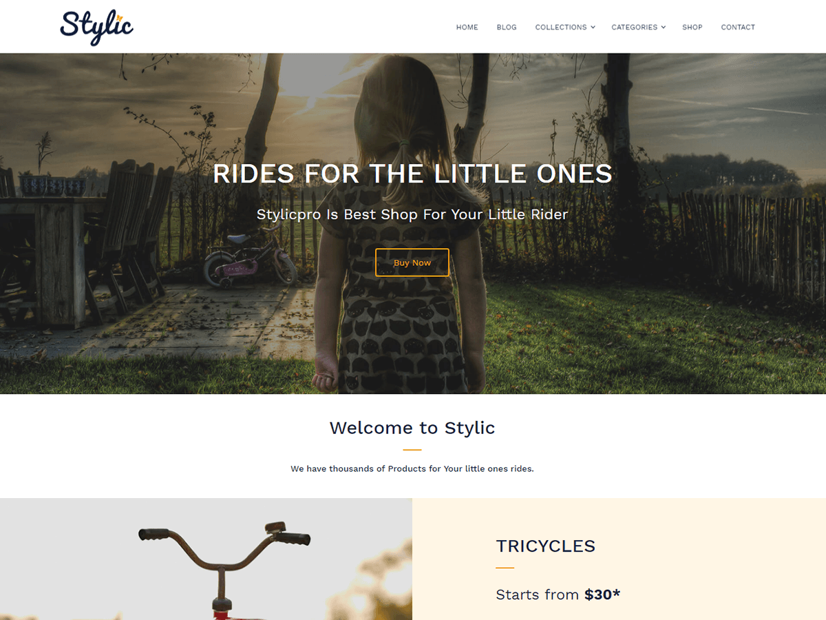 Stylic theme screenshot
