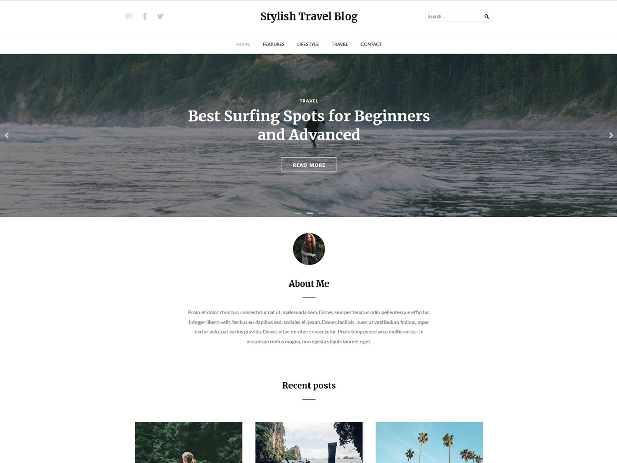 Stylish Travel Blog theme screenshot