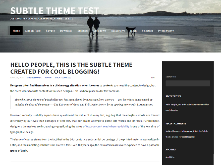 Subtle theme screenshot