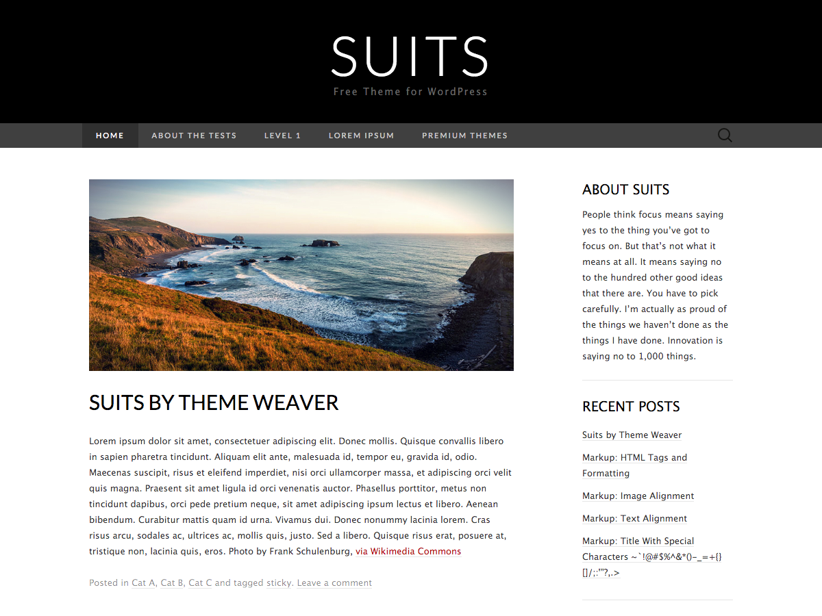 Suits theme screenshot