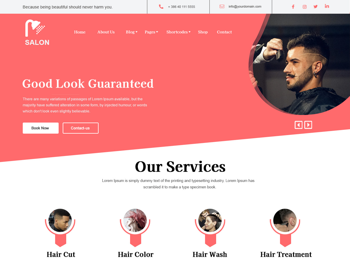 Super Salon theme screenshot