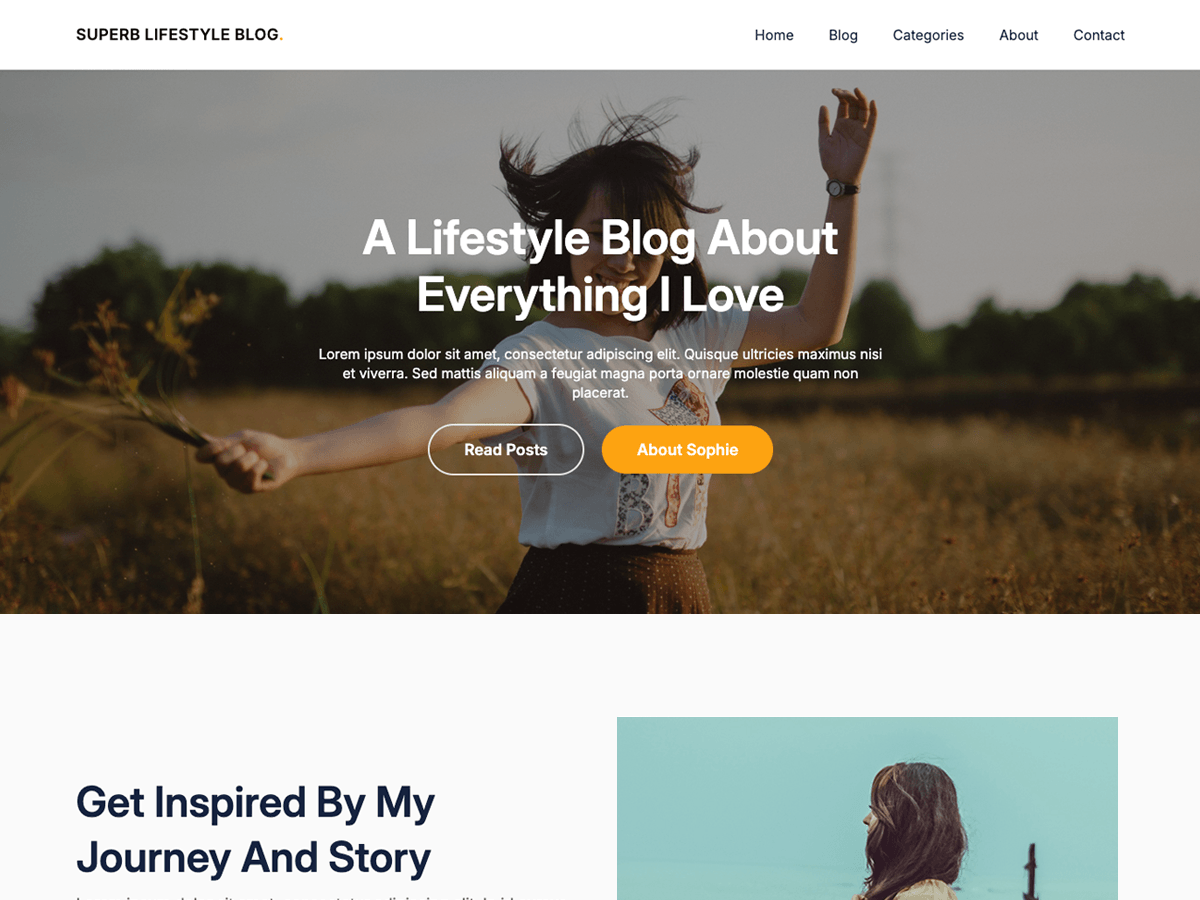 Superb Lifestyle Blog theme screenshot